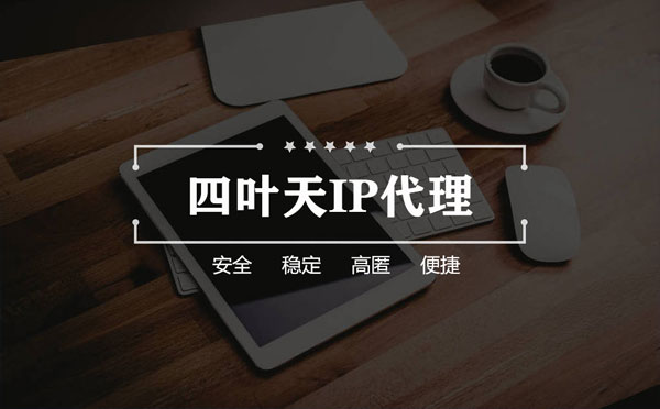 【贵阳代理IP】如何快速搭建代理IP？怎么检查代理的效果？